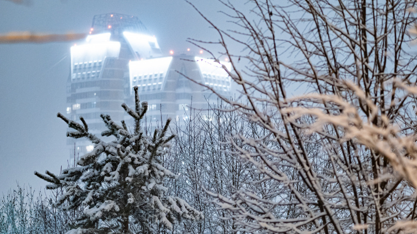    Фото: ИЗВЕСТИЯ/Константин Кокошкин