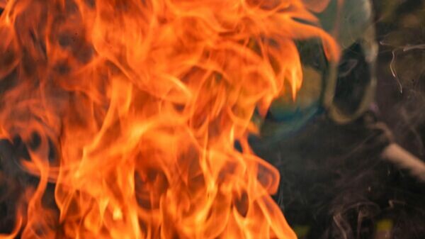    © РИА Новости Крым . Дмитрий Макеев