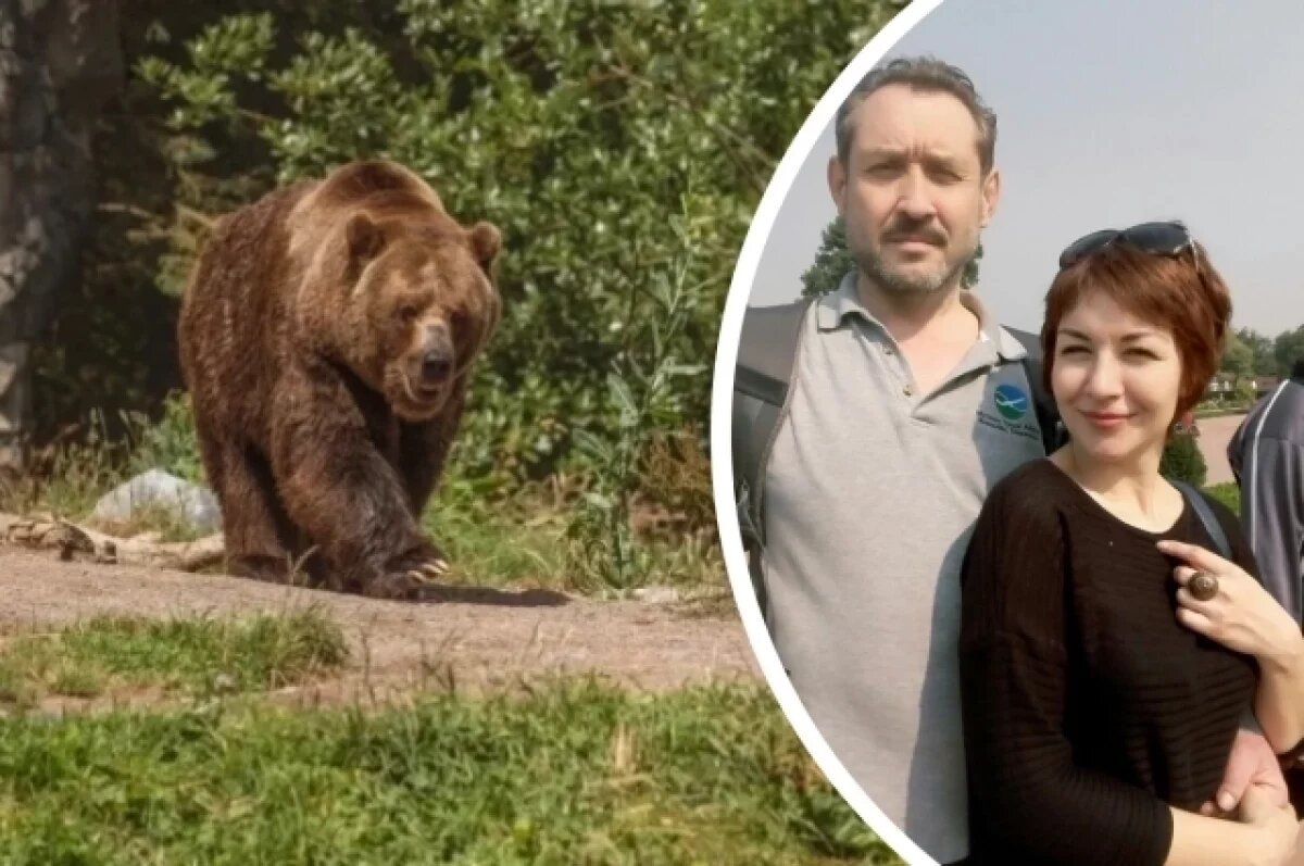 фото: яндекс.