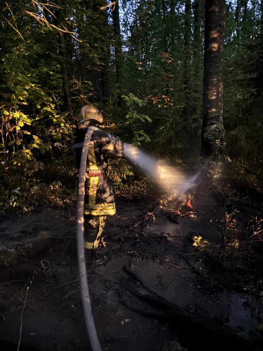    Фото: Госкомитет Карелии по безопасности