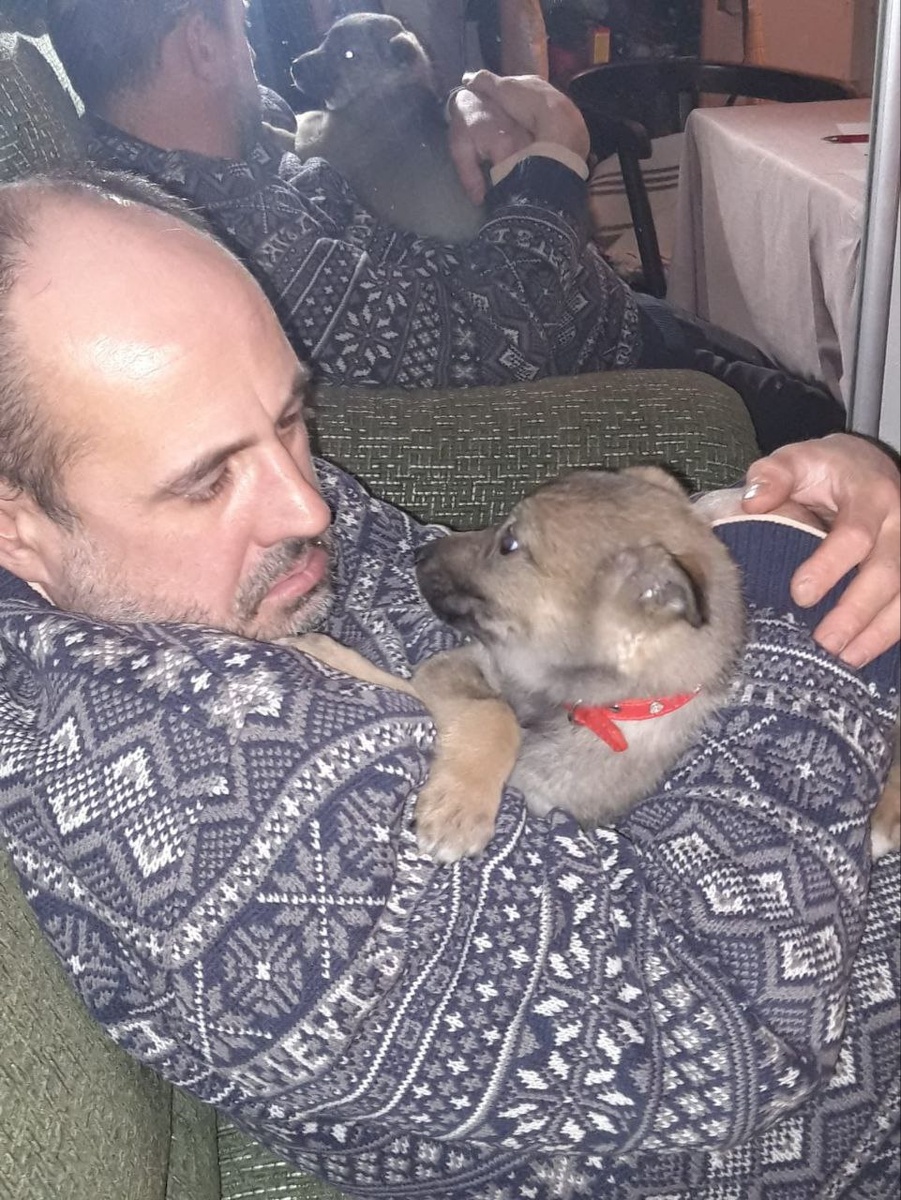 Гавкать научилась в полгода, когда начала бегать в компании других собак.