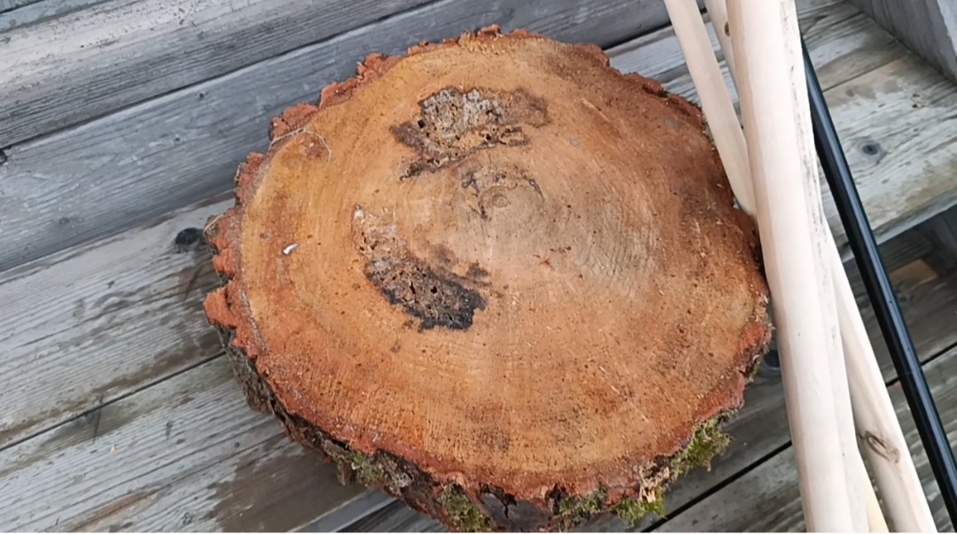 Спит дерева