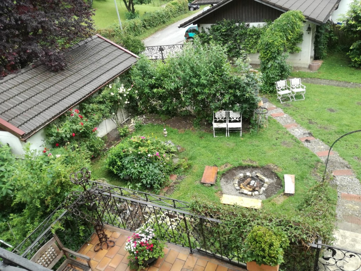 
Перед началом работ решите, какие растения остаются, а какие придется убрать. Фото: Мир Квартир