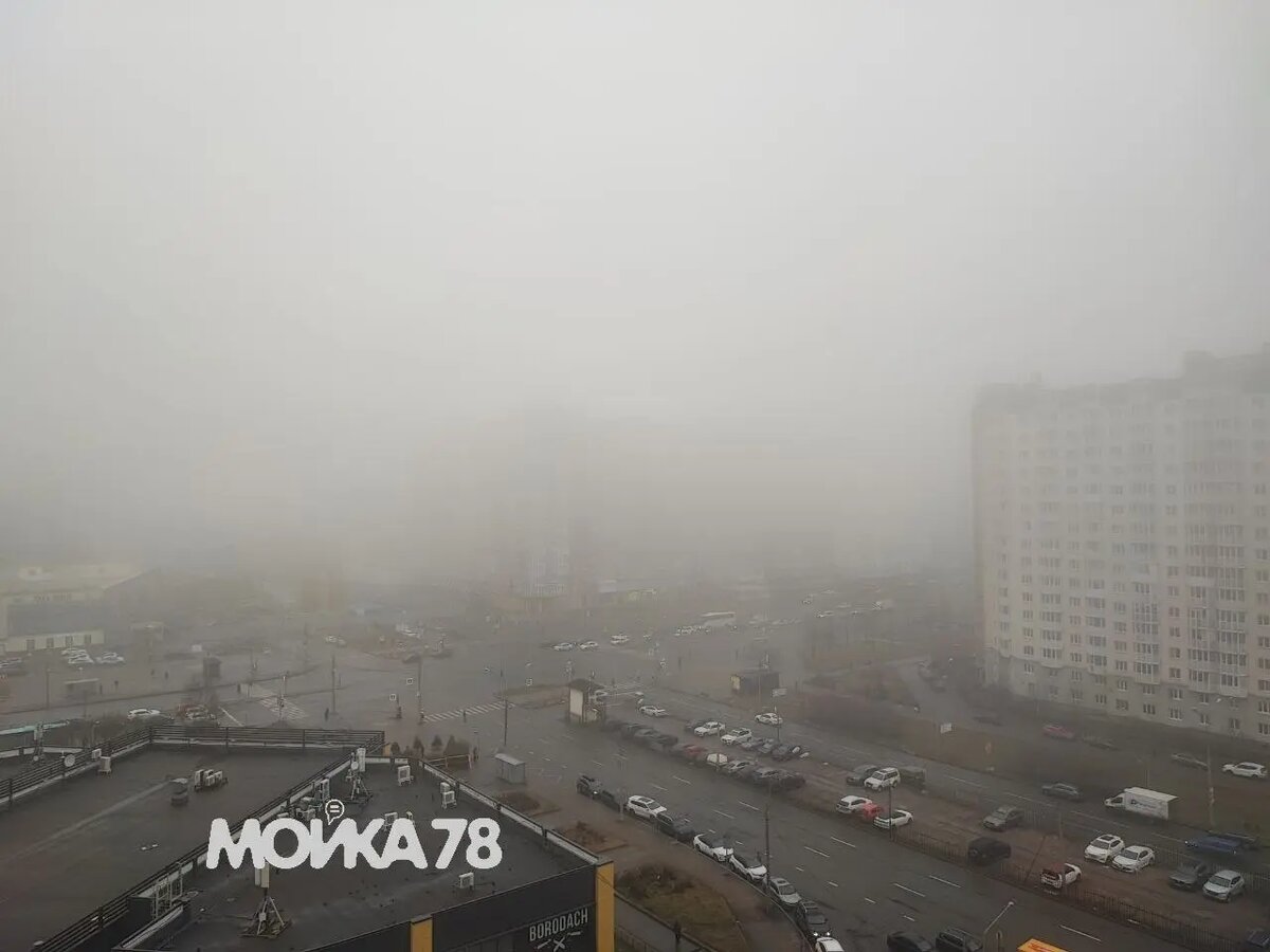    Туман. Фото: Мойка78