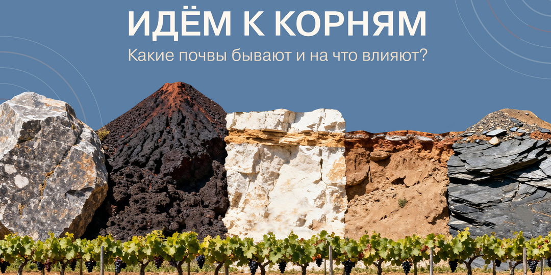 Идем к корням