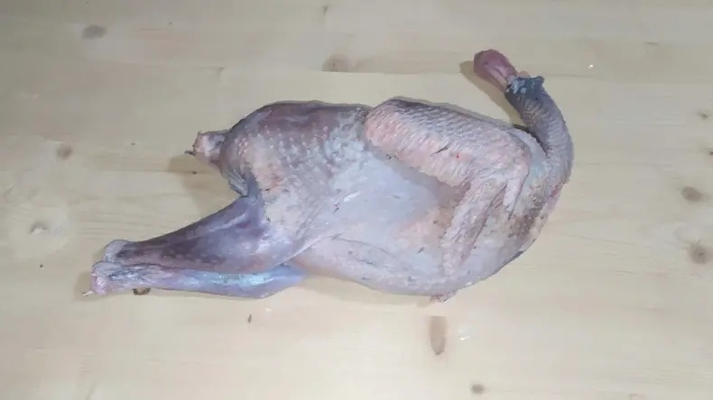 Тушка цесарки 