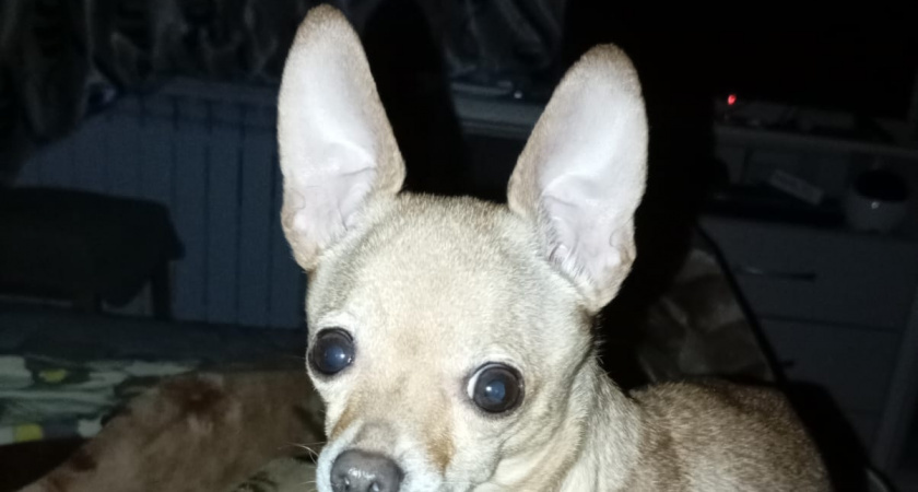    Фото irkutsk.news