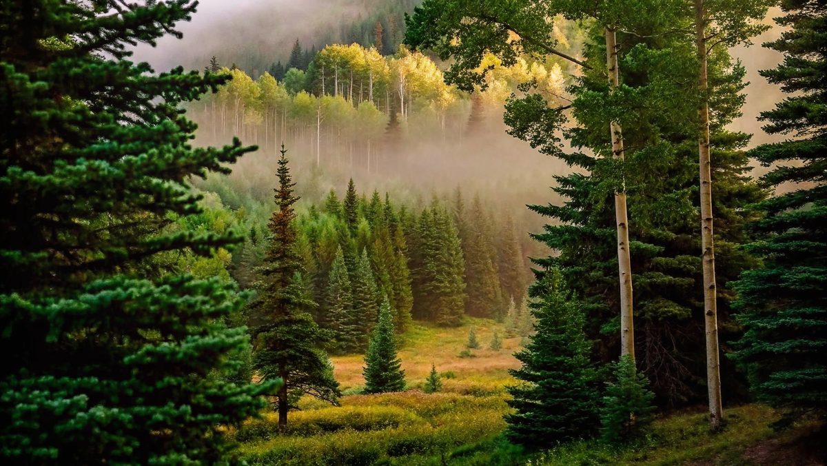 Изображение сгенерировано Рекрафт