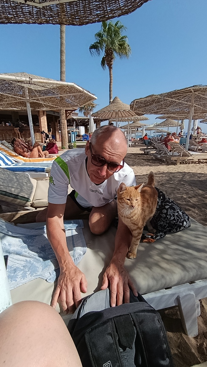 Пляжный котик тоже к нам привык