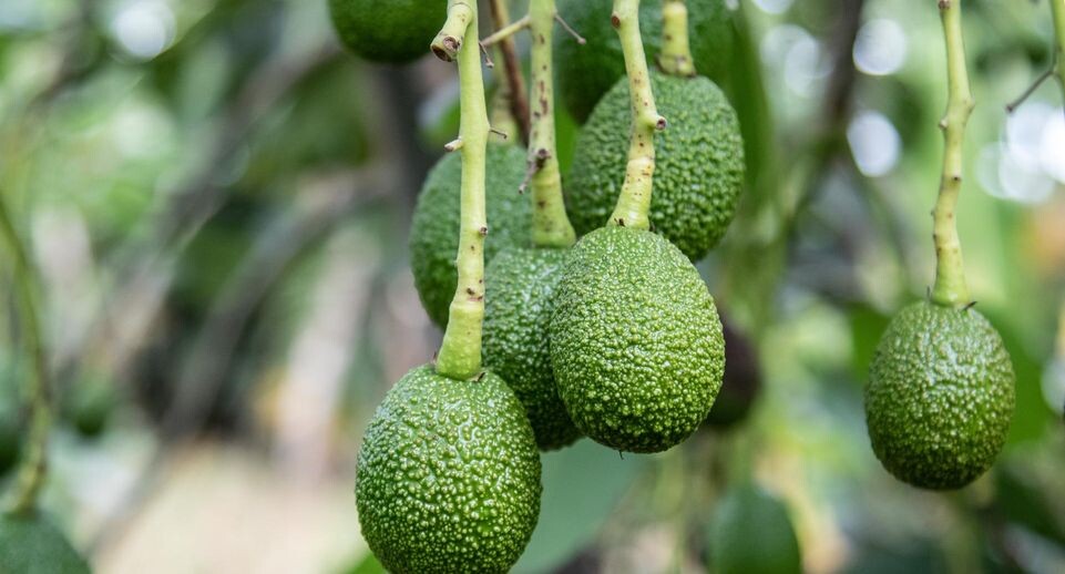    James Wakibia/Keystone Press Agency / www.globallookpress.com