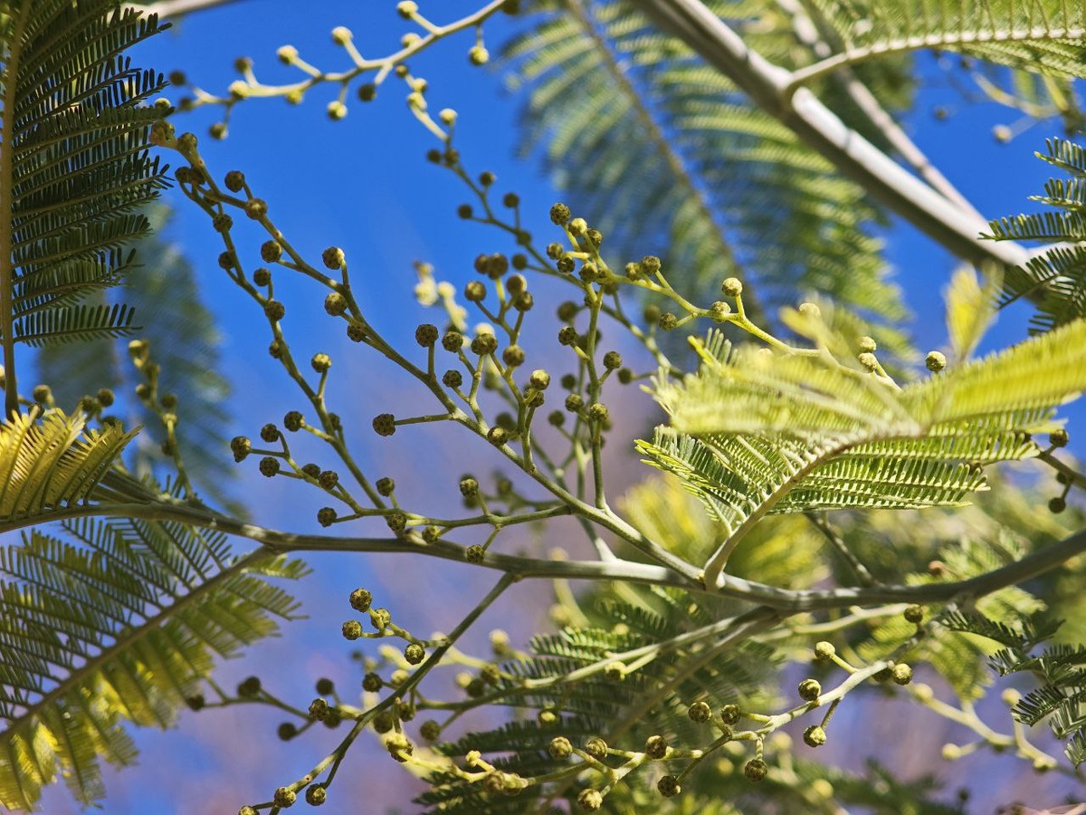    Фото: Telegram/МЦУ Сочи