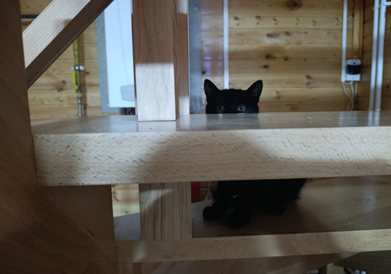 Филя сидит в засаде на лестнице.