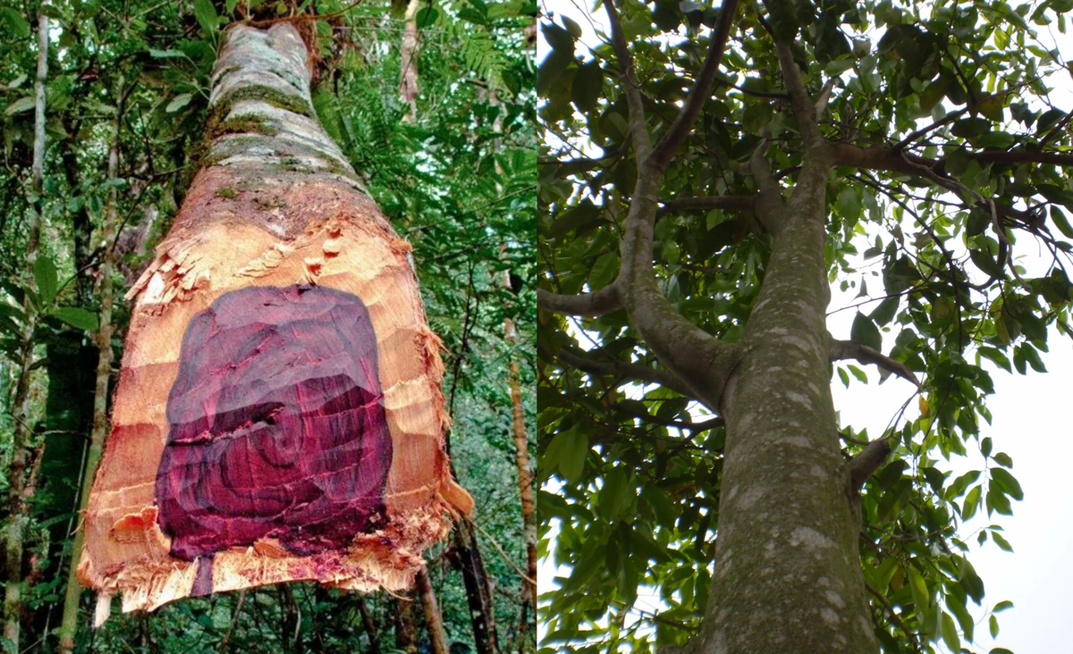 Источник: wikipedia