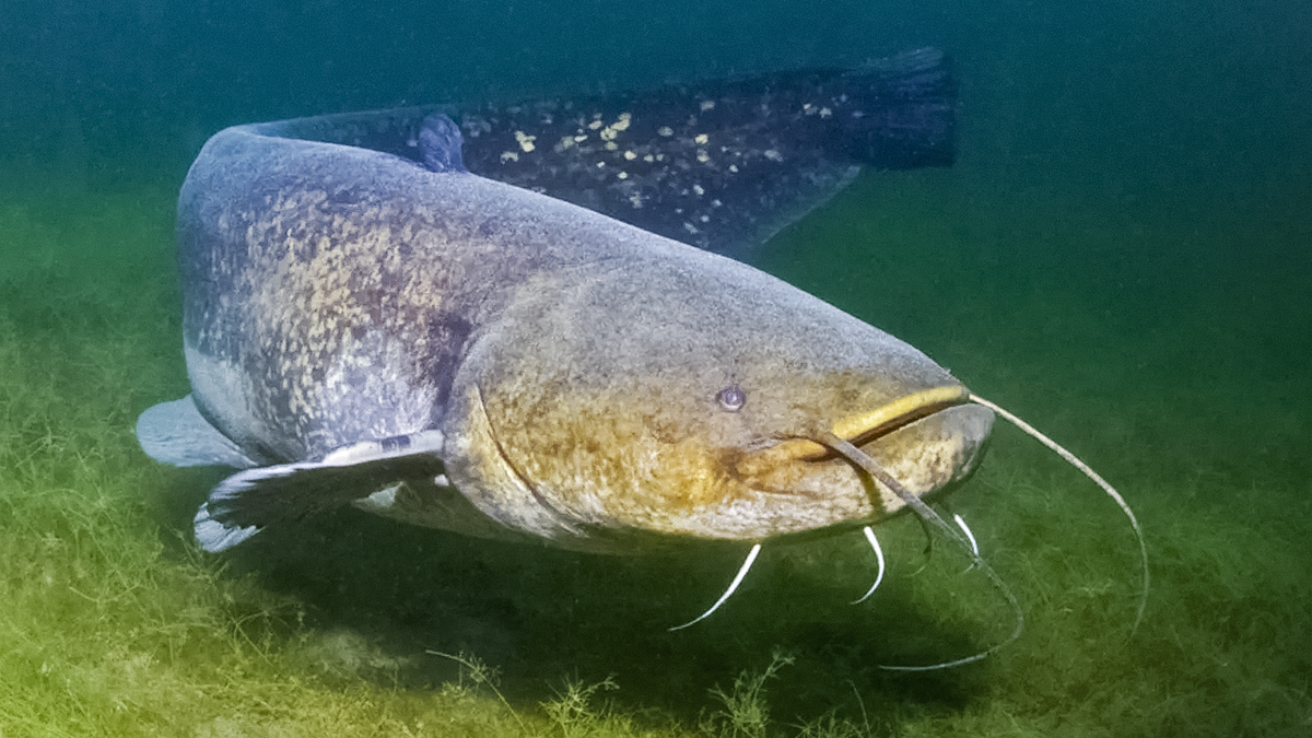 Фотография из интернета