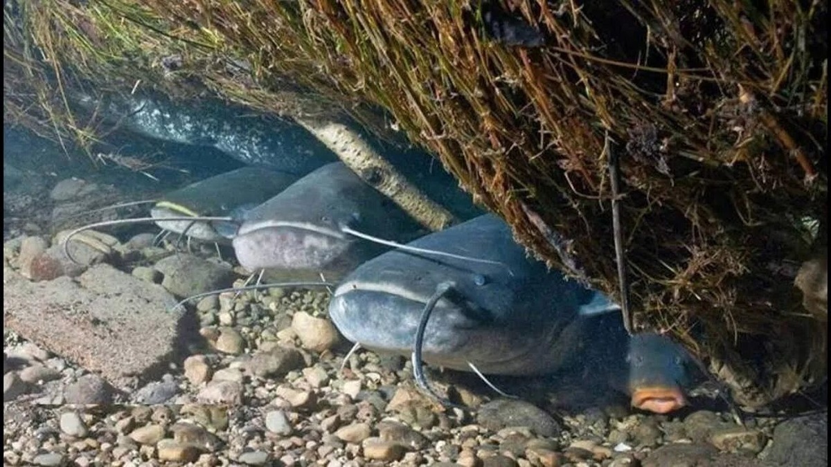 Фотография из интернета