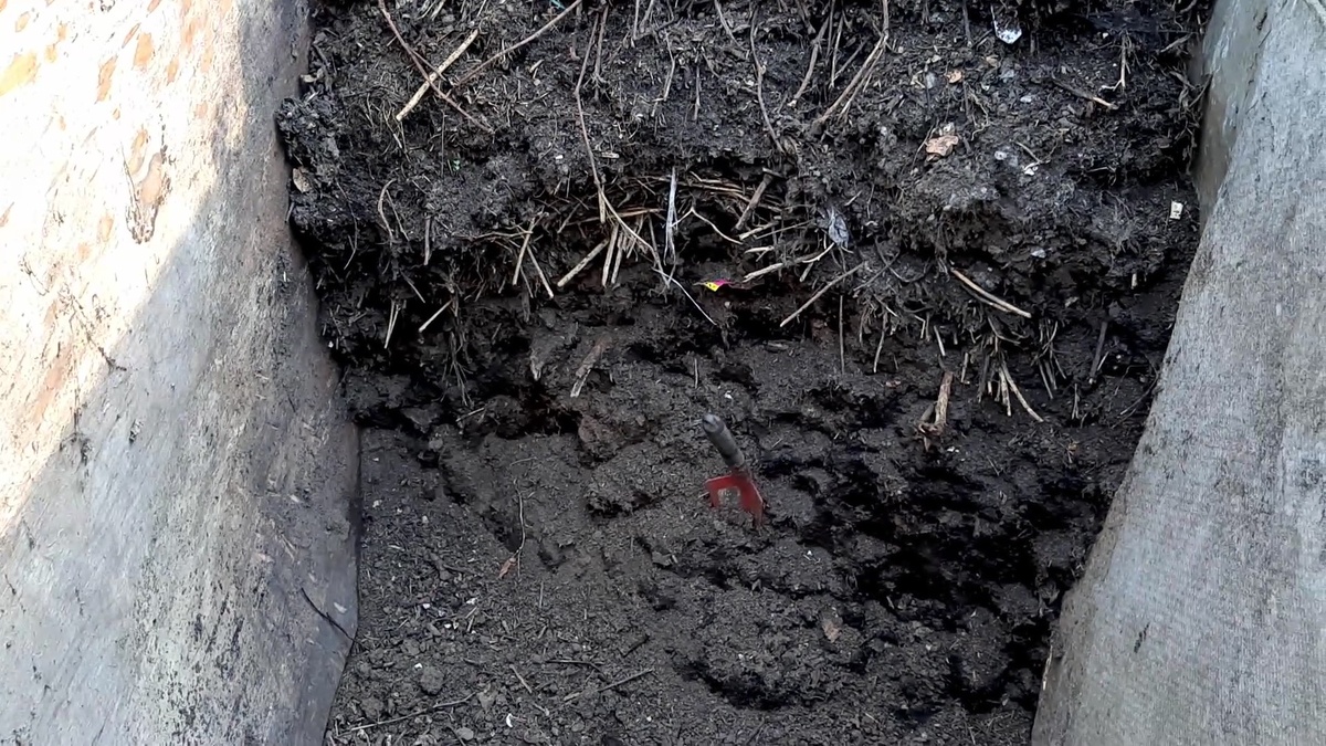 Готовый компост.