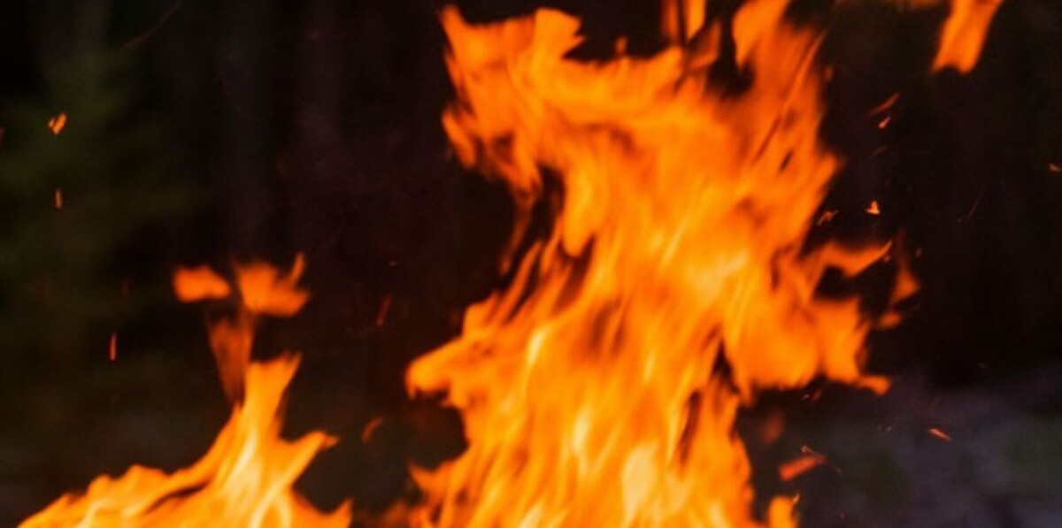    Фото: сгенерировано ии