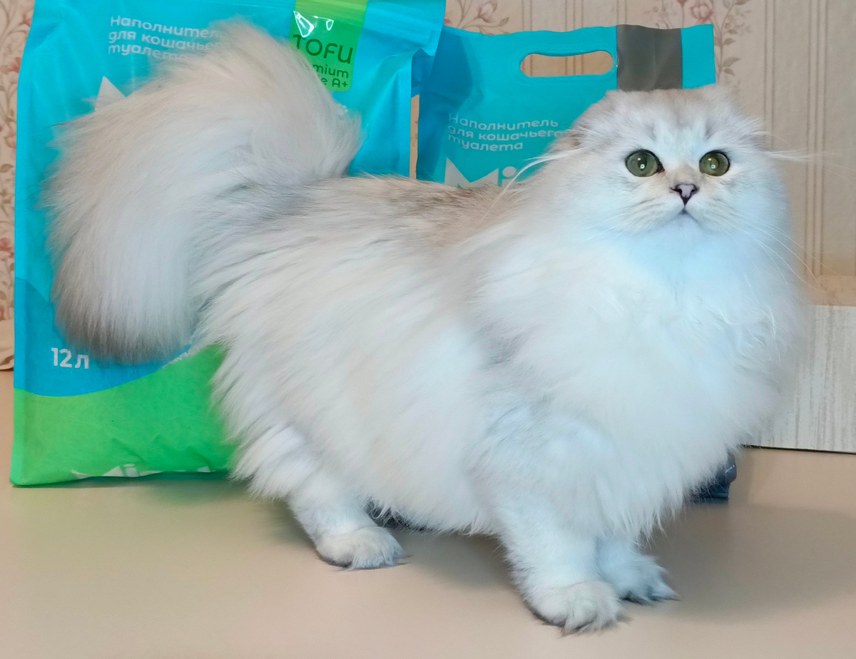 Роскошным кошкам - роскошный наполнитель!