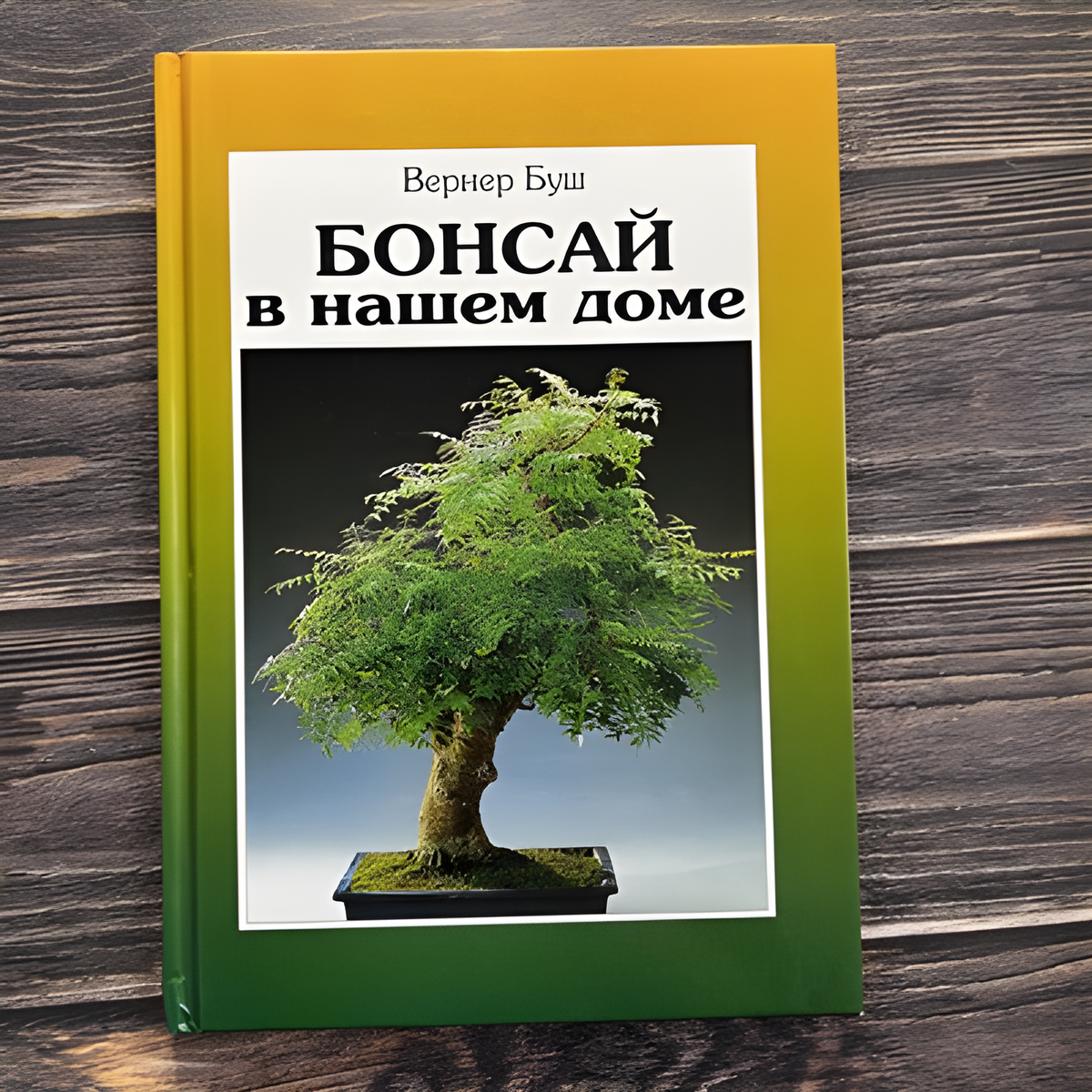 Вернер Буш — «Бонсай  в нашем доме»