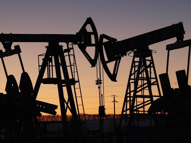    Фото: ТАСС/Егор Алеев