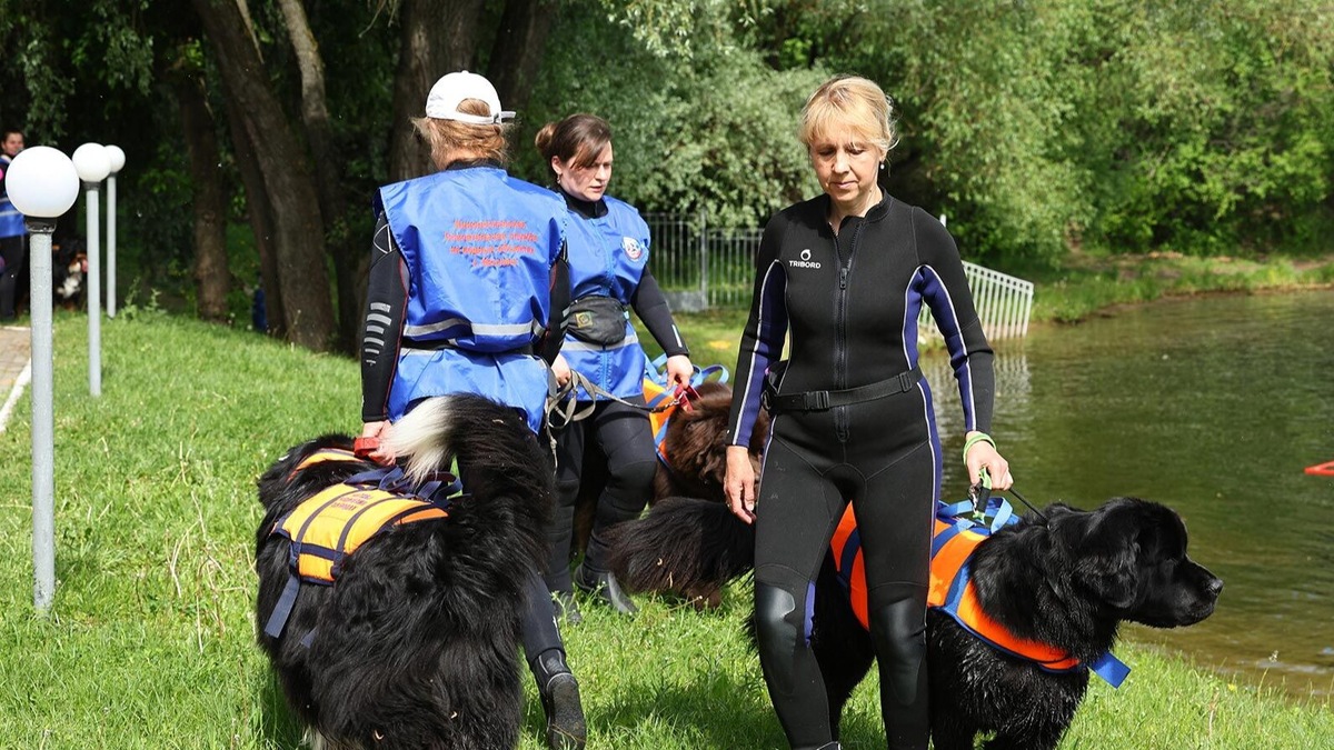    Источник: Пресс-служба Департамента по делам гражданской обороны, чрезвычайным ситуациям и пожарной безопасности города Москвы
