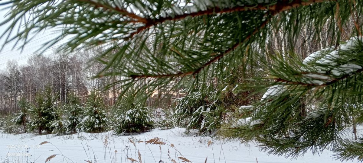 фото принадлежит автору канала
