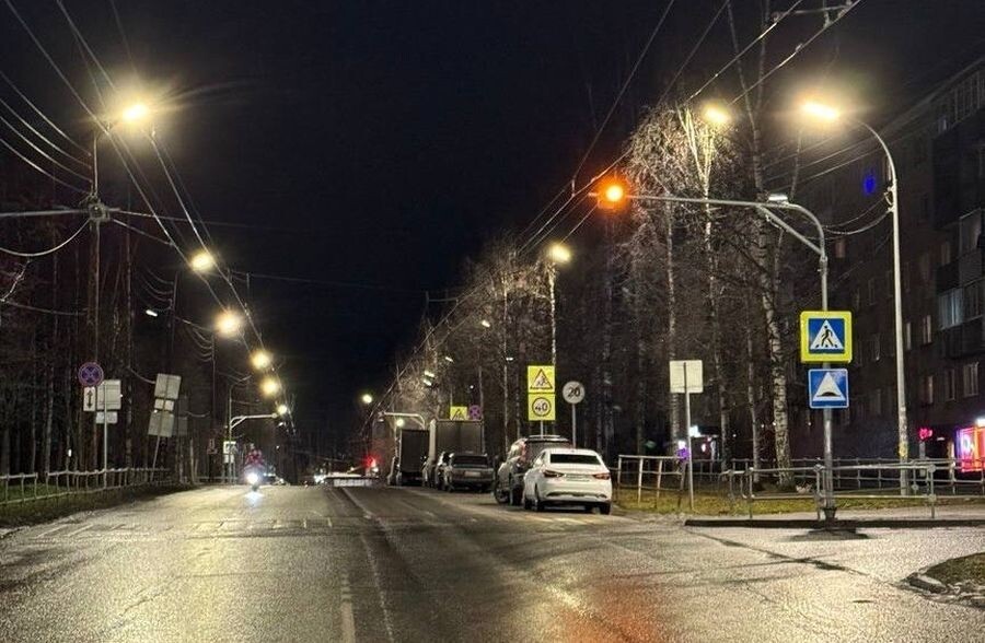    фото: © Петрозаводский совет