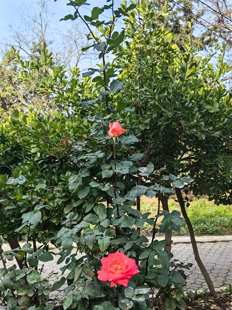 Сегодня. Фото автора канала