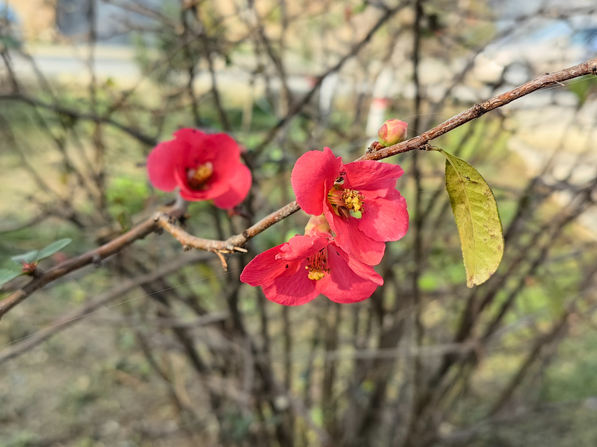 Сегодня. Фото автора канала