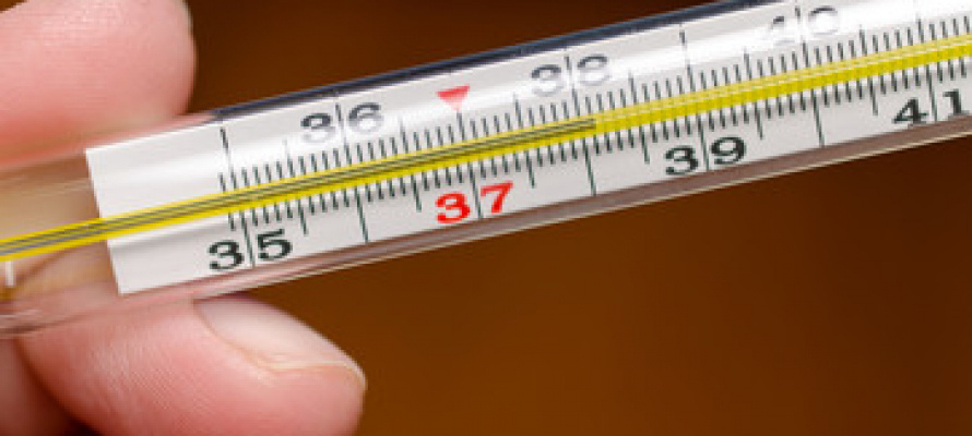    фото: © stock.adobe.com