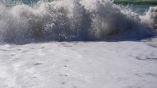    © РИА Новости Крым