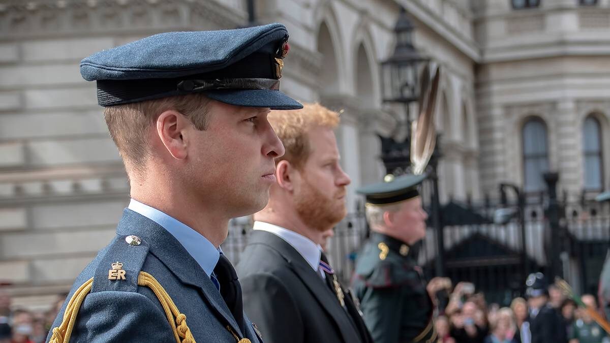    Фото: Shutterstock