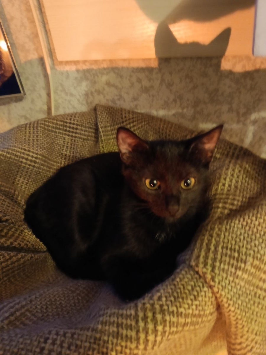 Девочки настолько похожи, что их не различить)