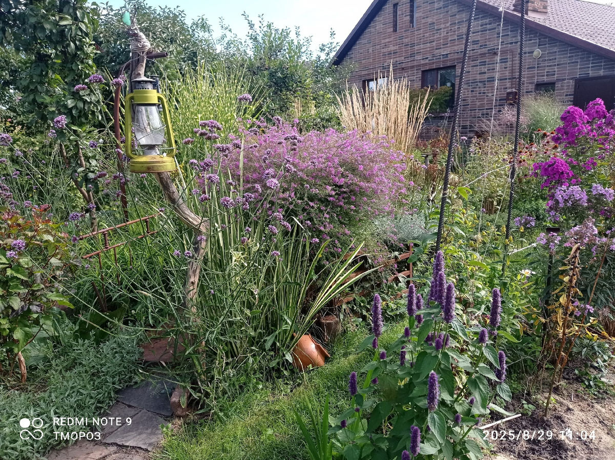 место жительства