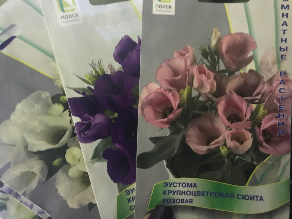 Для посева лучше всего подходят дражированные семена