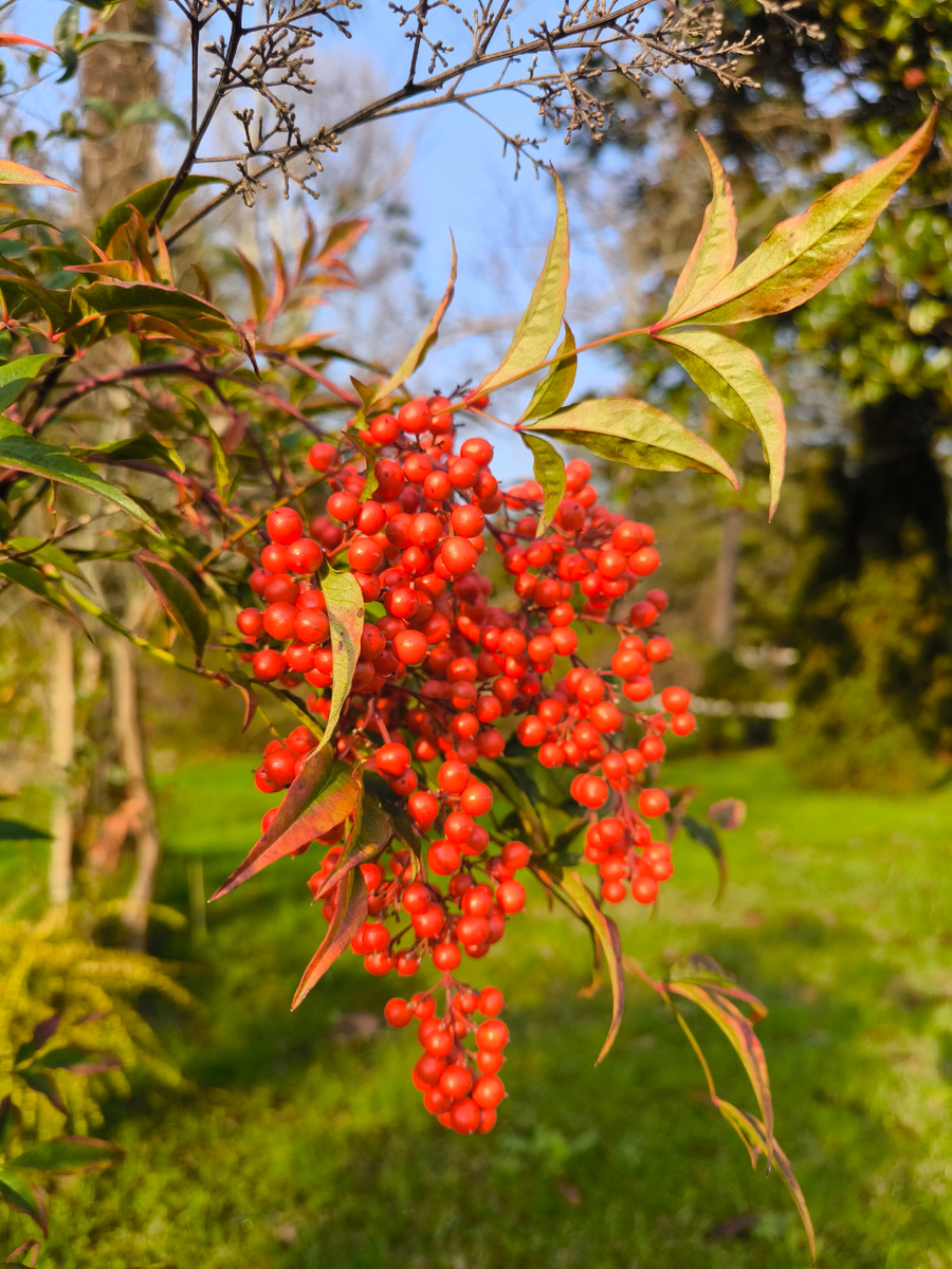 Цель приносит плоды. 