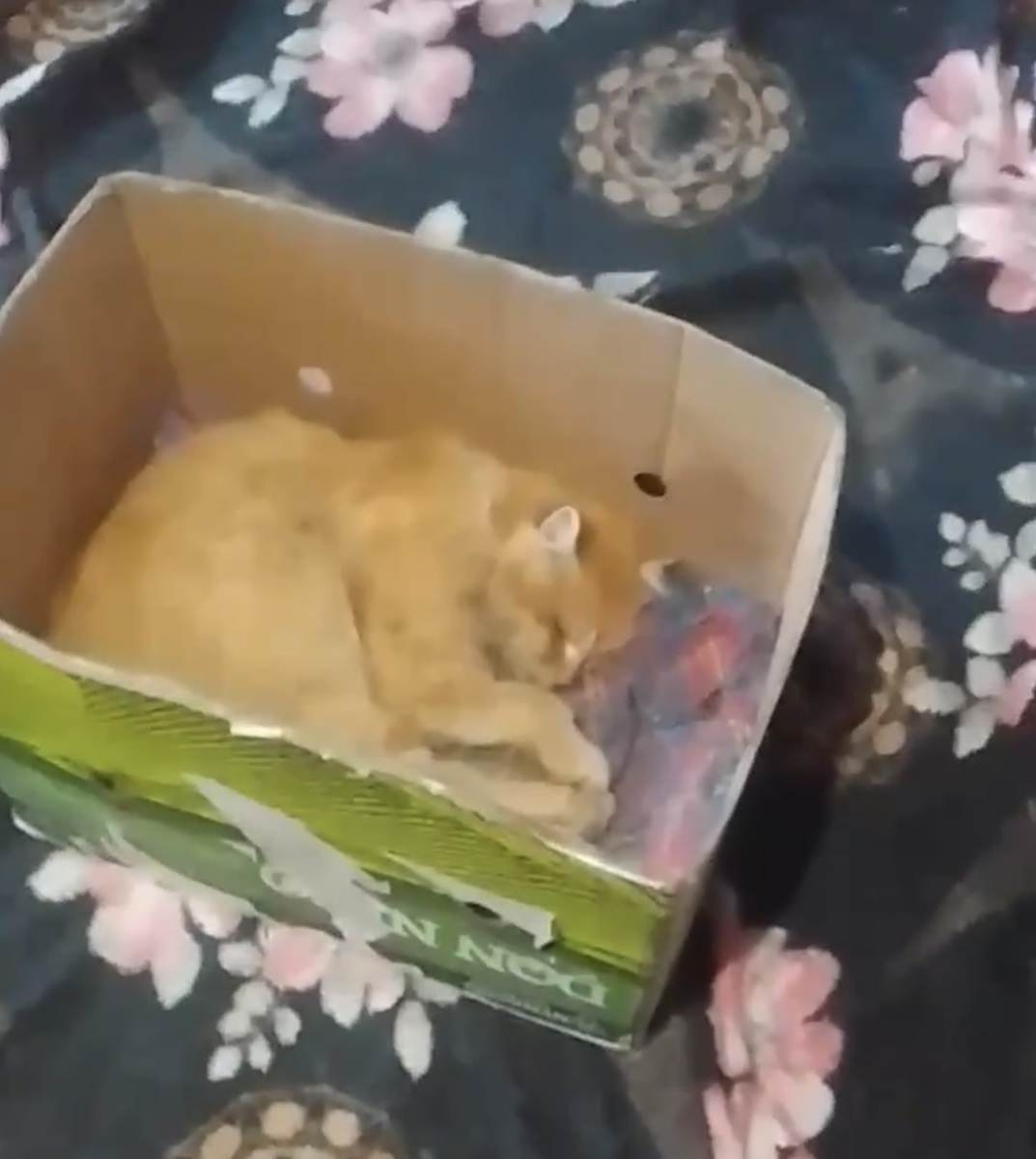 Не в первый раз спасаем того, кто на грани. Молю Бога, чтобы все получилось! Фото из архива автора