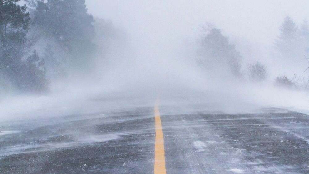    Фото: Thomas B Lee/Shutterstock/Fotodom