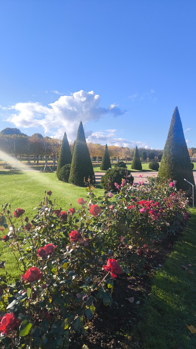 Любоваться красотой - это потребность и ценность. 