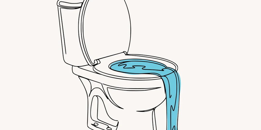 Как избавиться от засора в унитазе без вызова сантехника