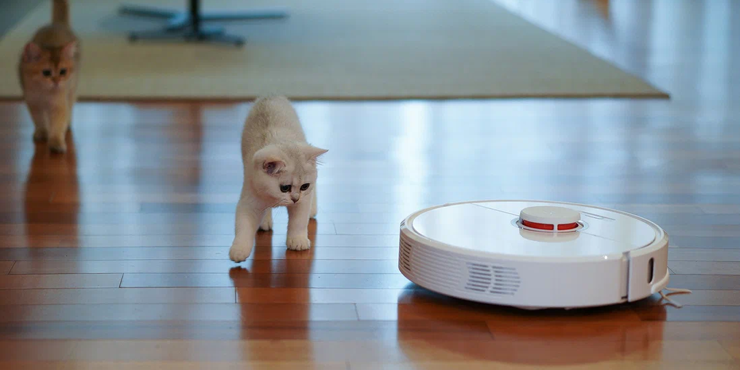 10 работающих способов уменьшить количество пыли в квартире