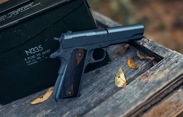 Tisas 1911 A1 Government