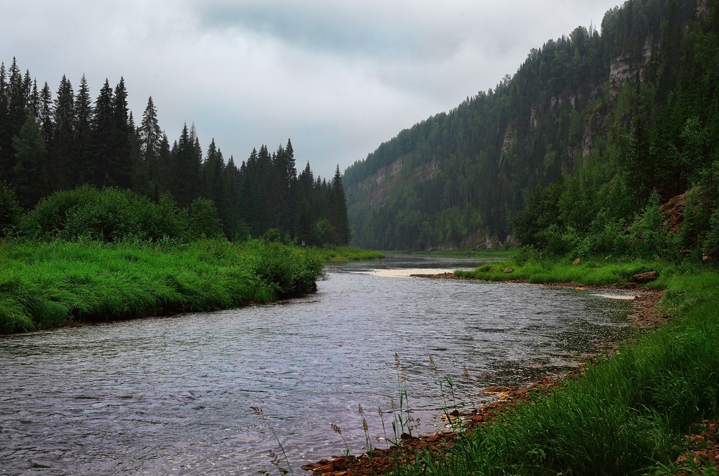   Фото: по лицензии PxHere