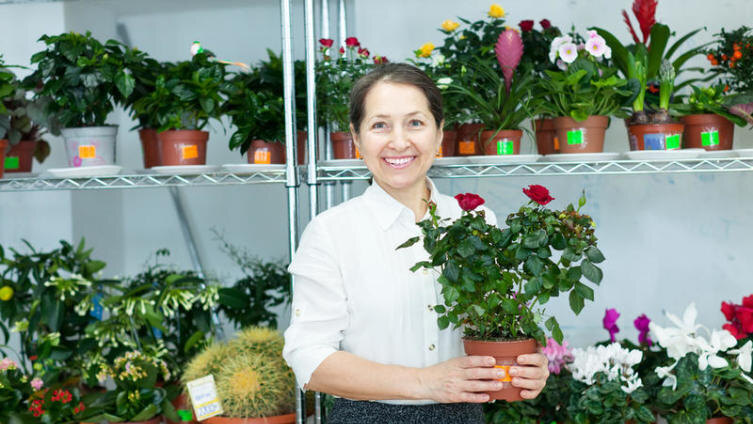    Решили разводить дома цветы? Делайте это правильно! Фото: Iakov Filimonov, Shutterstock.com