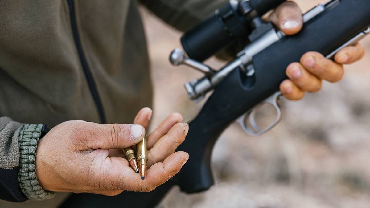    Фото: Shutterstock