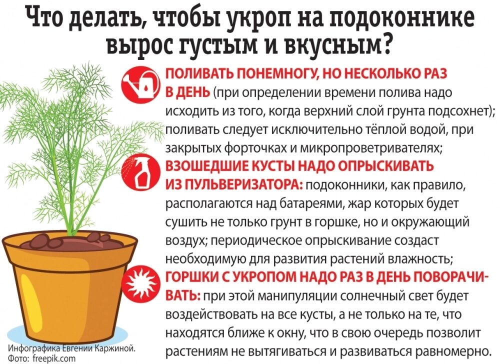    Фото: АиФ/ Евгения Каржина