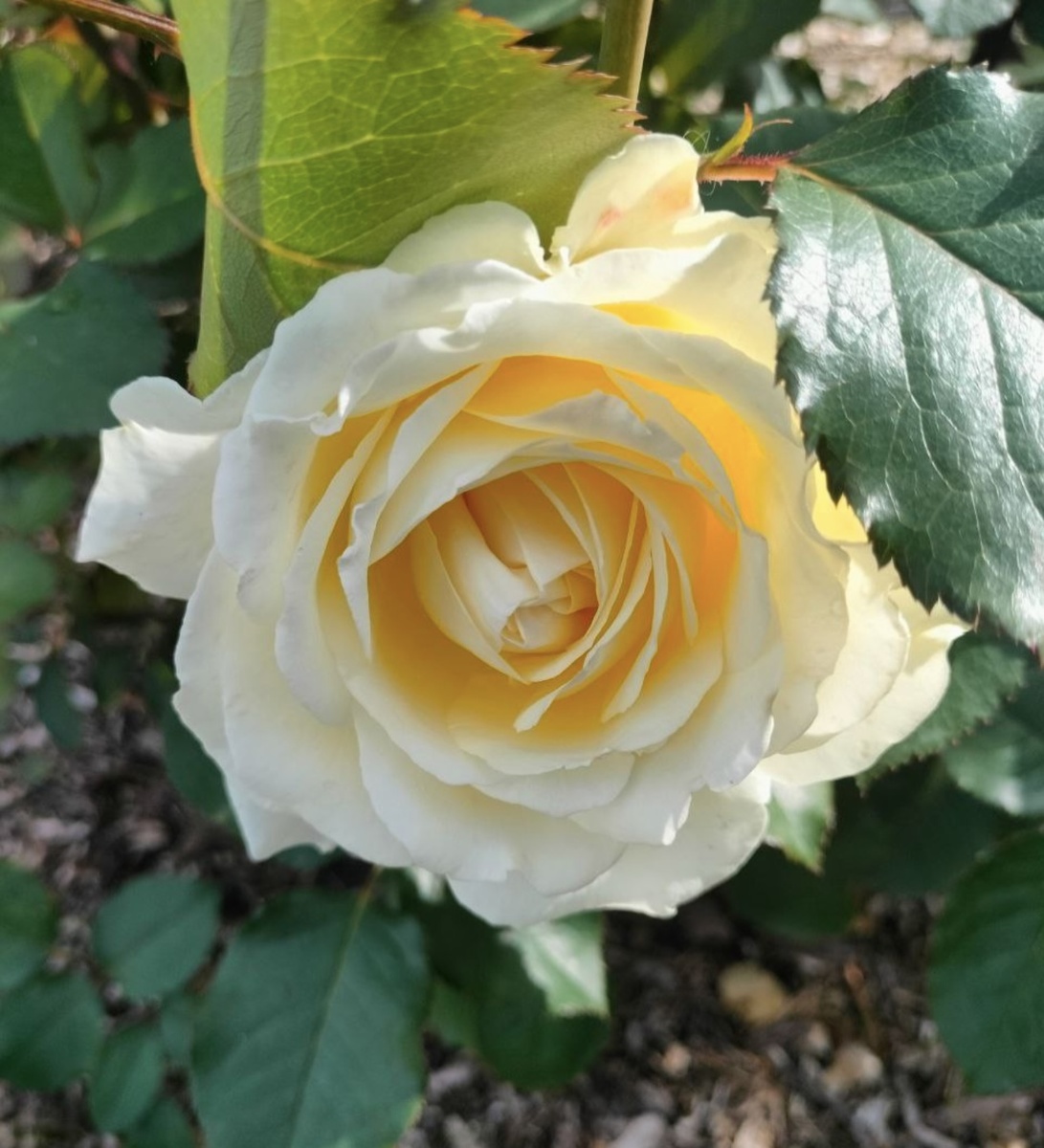 Фотография читательницы