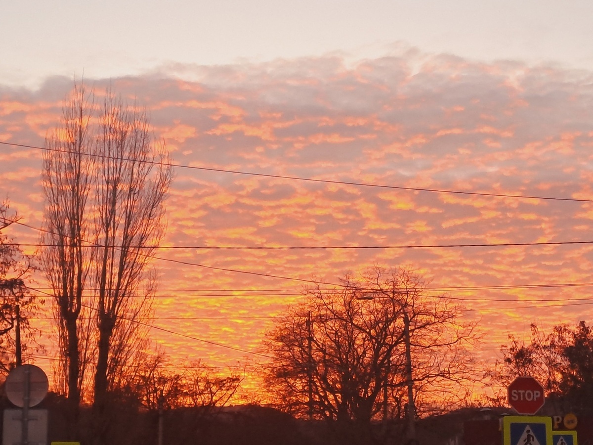 Ориби Каммпирр - Мир изменился (из рассказа Ориби Каммпирр "Опасные фантазии") © Copyright: Ориби Каммпирр