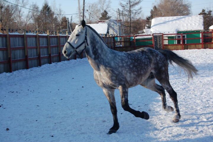    Фото:Ирина Климченко, Дарья Нечаева