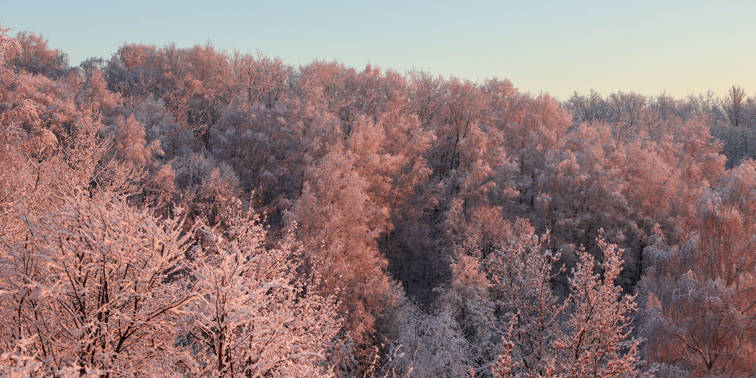 В Хабаровске ударят морозы до −19: синоптики предупреждают о похолодании